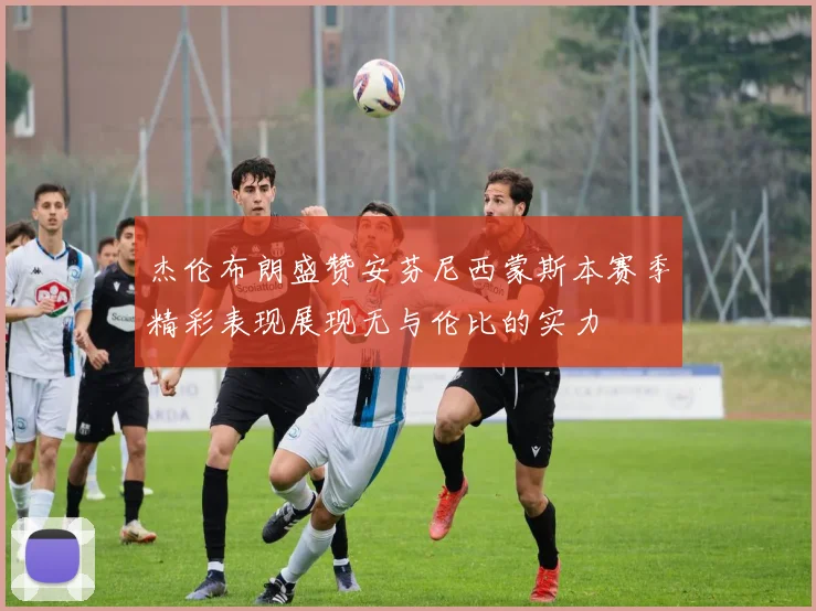 杰伦布朗盛赞安芬尼西蒙斯本赛季精彩表现展现无与伦比的实力