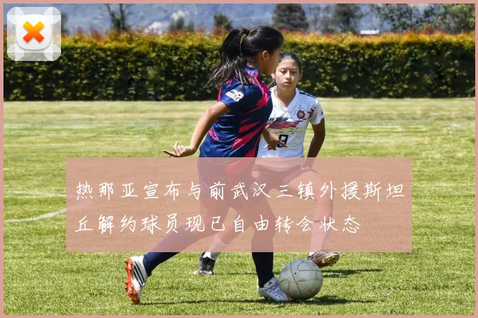 热那亚宣布与前武汉三镇外援斯坦丘解约球员现已自由转会状态