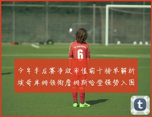 今年季后赛净效率值前十榜单解析埃奇库姆领衔詹姆斯哈登强势入围